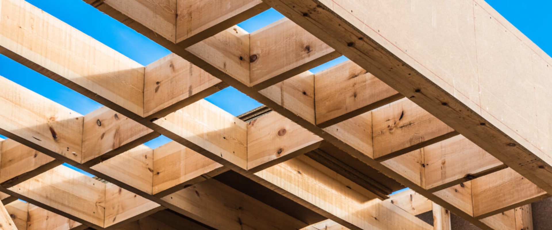 Sustainable Wood Options for Home Renovations